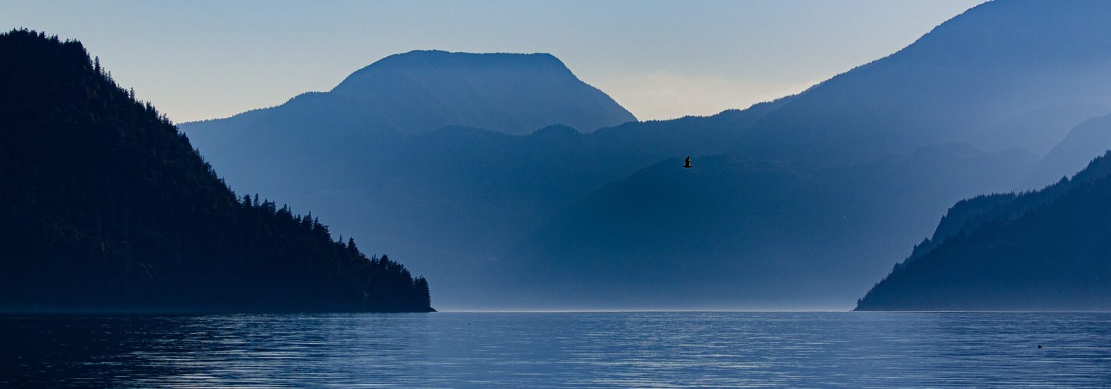 What does Armada Mortgage need for insurance?